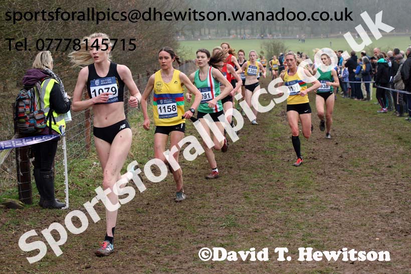 Senior womens Inter Counties Cross Country, Prestwold Hall, Loughborough. Photo: David T. Hewitson/Sports for All Pics